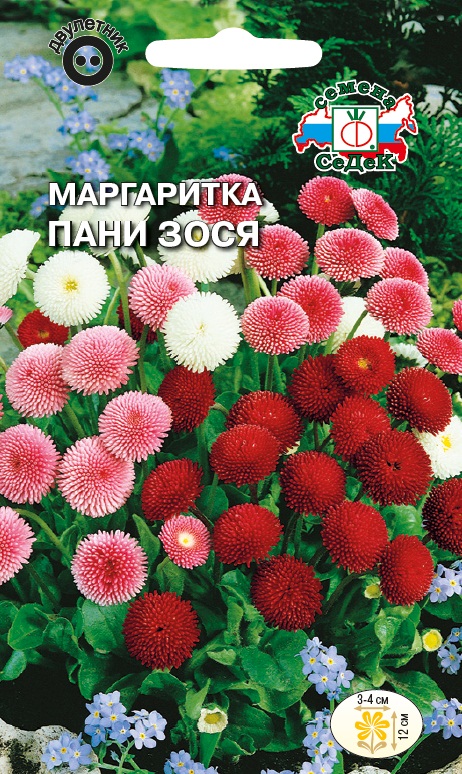 Семена цветов - Маргаритка Пани Зося 0,04 г - 2 пакета
