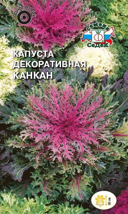 Семена цветов - Капуста Канкан 0,1 г - 2 пакета