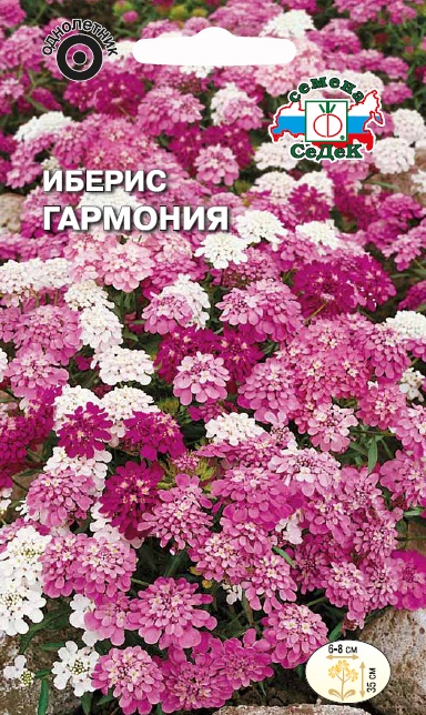 Семена цветов - Иберис Гармония 0,1 г - 2 пакета