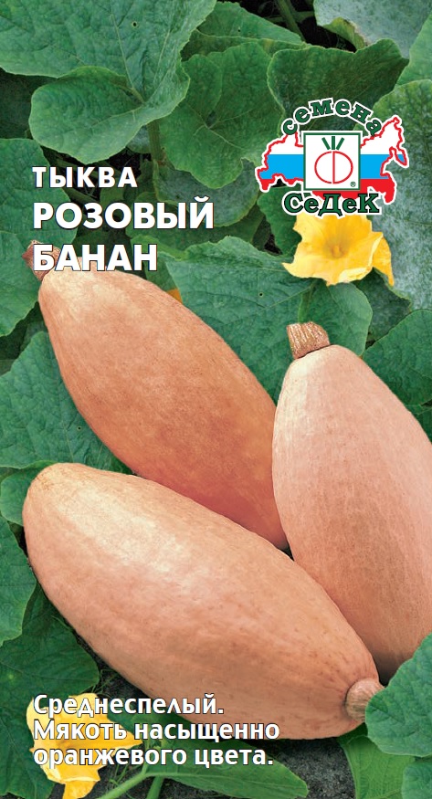 Семена - Тыква Розовый Банан Новинка 1 г - 2 пакета