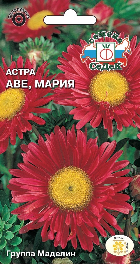 Семена цветов - Астра Аве, Мария 0,2 г - 2 пакета